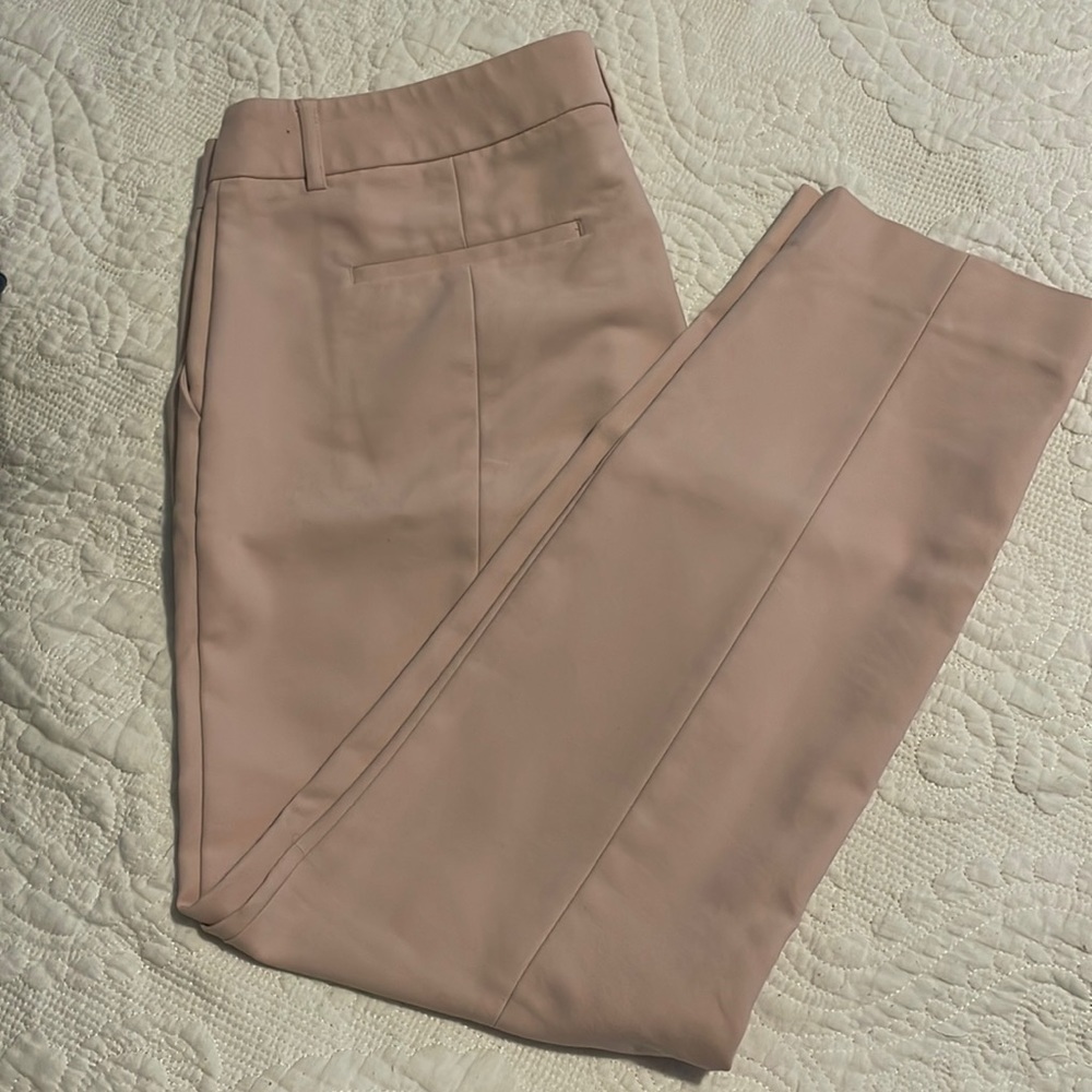 Express Columnist Pants